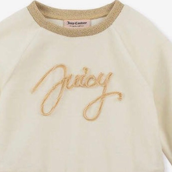 SOLD 🛍NWT JUICY COUTURE Drop-Waist Tulle Dress - Picture 4 of 6